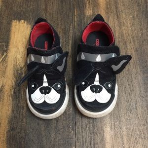 boston terrier converse